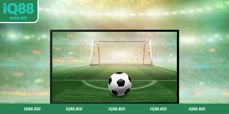 Một số nét chung về cá độ bóng đá