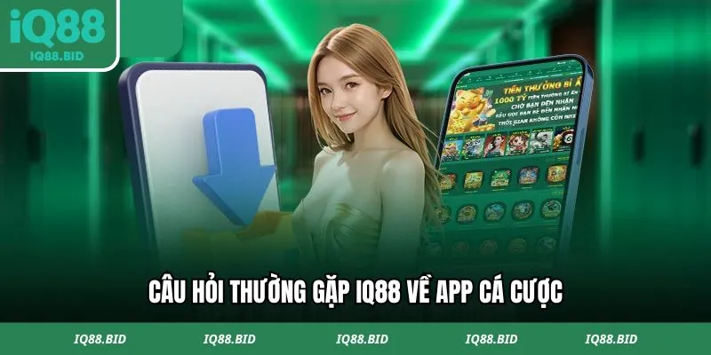 Câu hỏi thường gặp IQ88 về app cá cược 