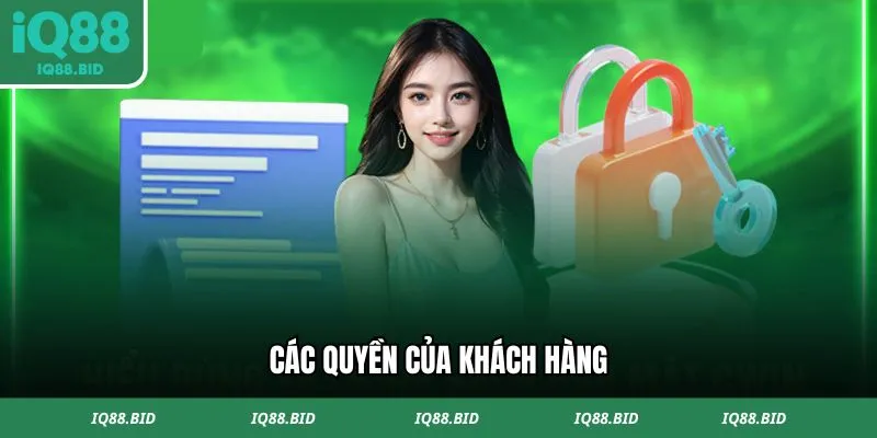 Chính sách bảo mật IQ88 cho người chơi