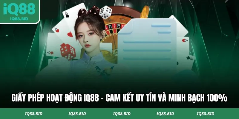 Định nghĩa về giấy phép hoạt động